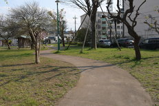 矢崎町防災公園