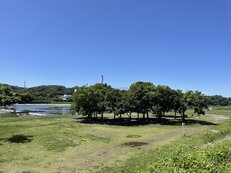 郷土の森公園バーベキュー場