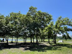 郷土の森公園バーベキュー場