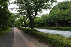 スタジアム通り