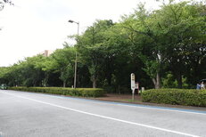 スタジアム通り