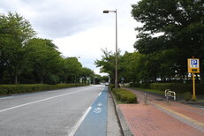 スタジアム通り