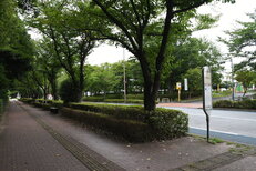 スタジアム通り