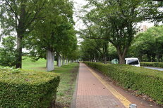 スタジアム通り