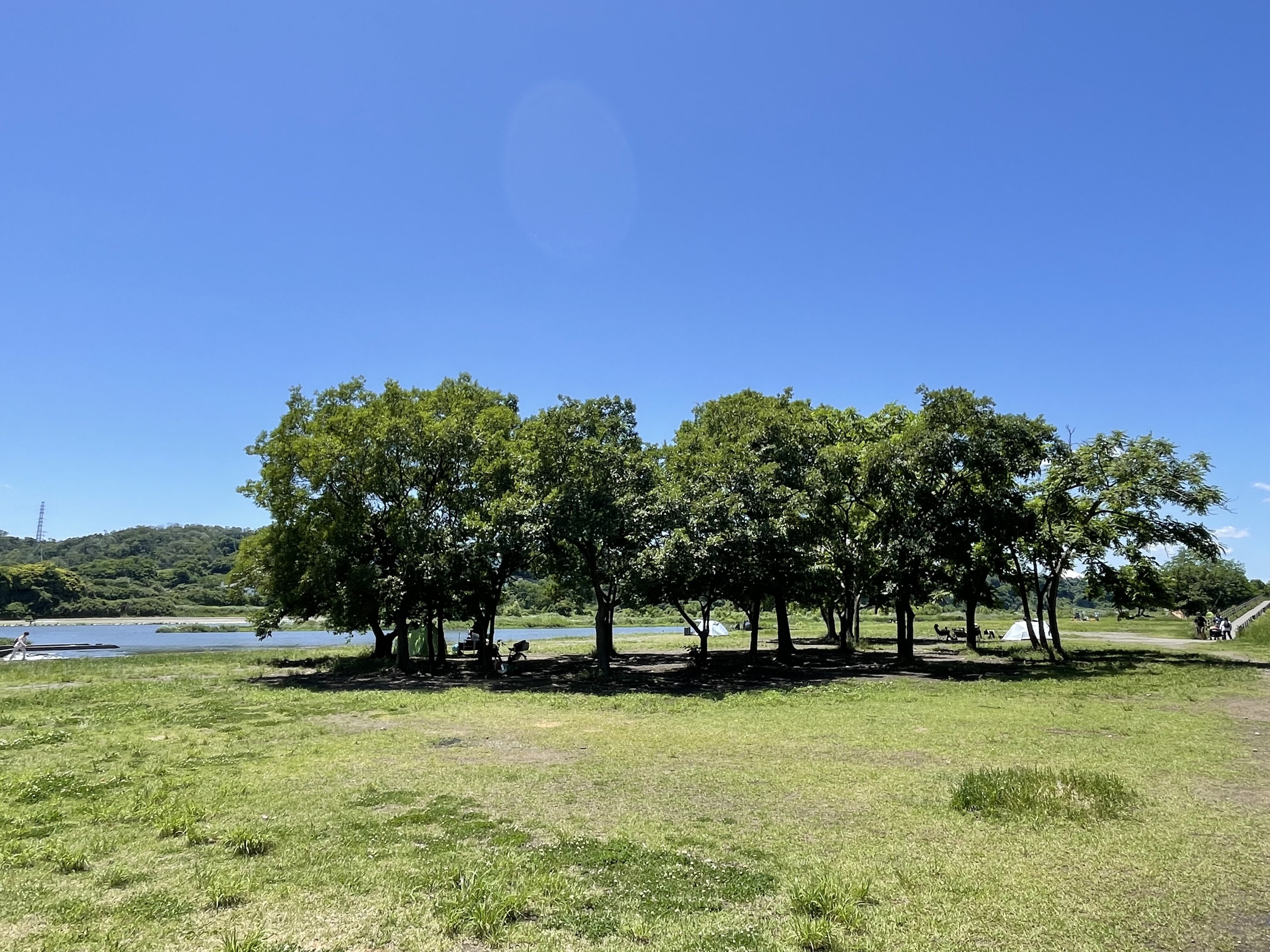 郷土の森公園バーベキュー場
