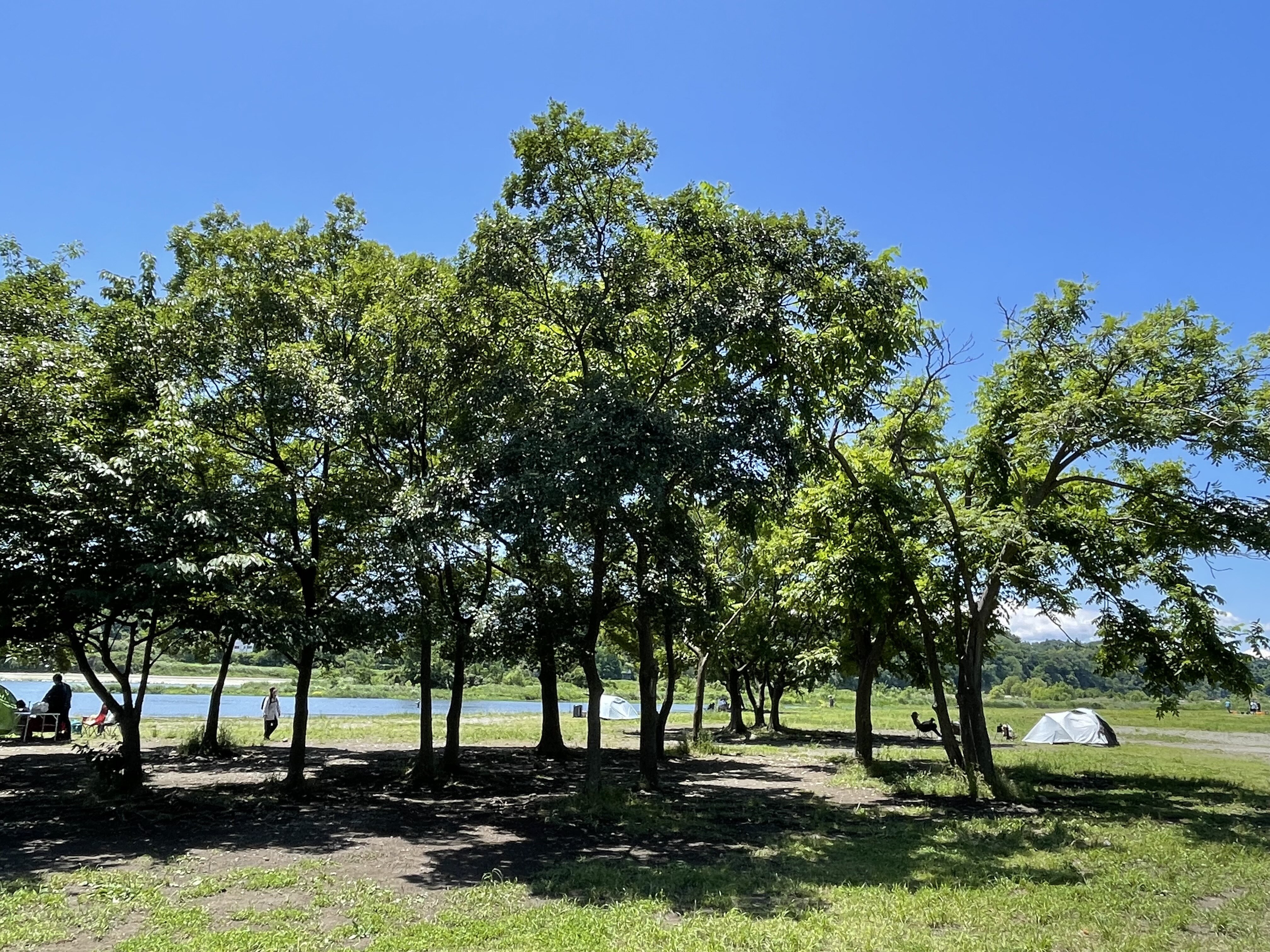 郷土の森公園バーベキュー場