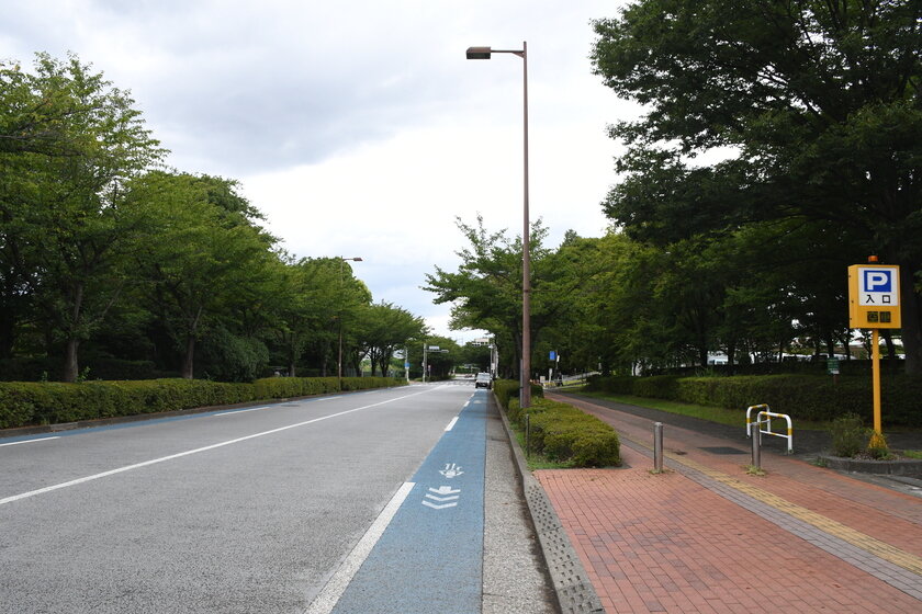 スタジアム通り