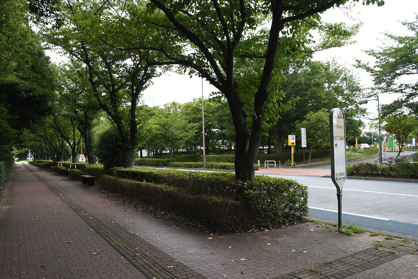 スタジアム通り